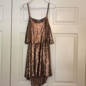 Bronze sequin dress NWT